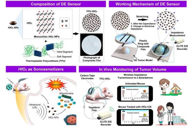 Image: Preparation and working mechanism of the DE stain sensor (Photo courtesy of ACS Nano, 2024. DOI: 10.1021/acsnano.3c11346)